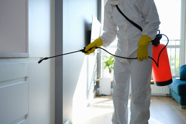 Professional Pest Control in Sherwood, AR